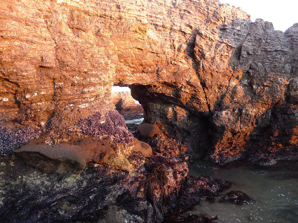 2014-01-17 PointReyesCamping 048